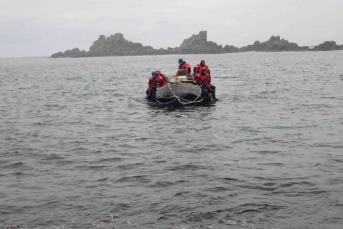 TRANSPORTANDO LOS MOTORES A UNA BAHÍA CERCANA