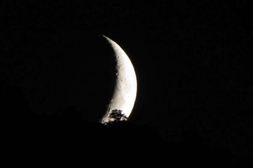 La luna asoma en Little Cottonwood Canyon